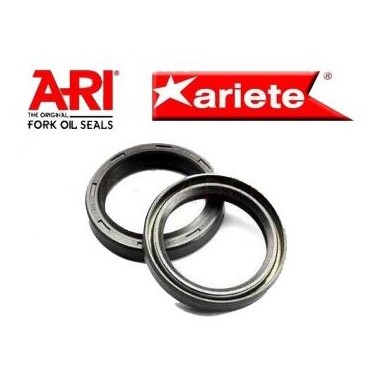 RETENES ARI.174 37X50,5X5,8/15